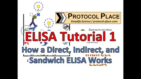 elisa tutorial